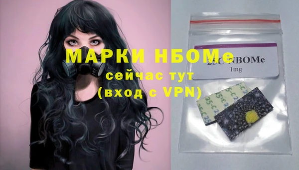 гашик Арсеньев