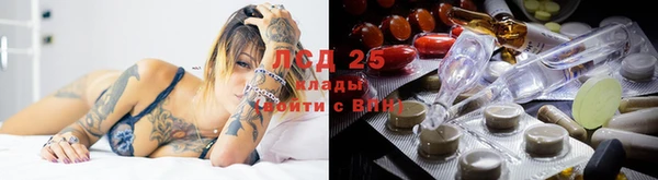 spice Армянск