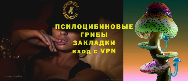 spice Армянск