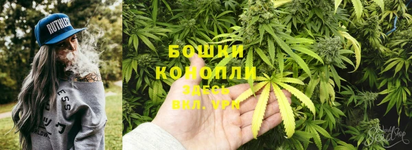 гашик Арсеньев
