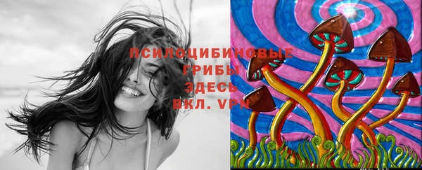 гашик Арсеньев